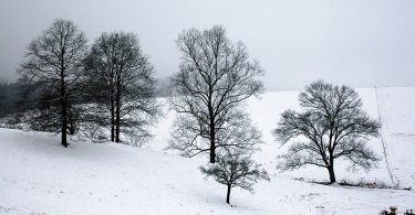 Appalachian Land Trusts