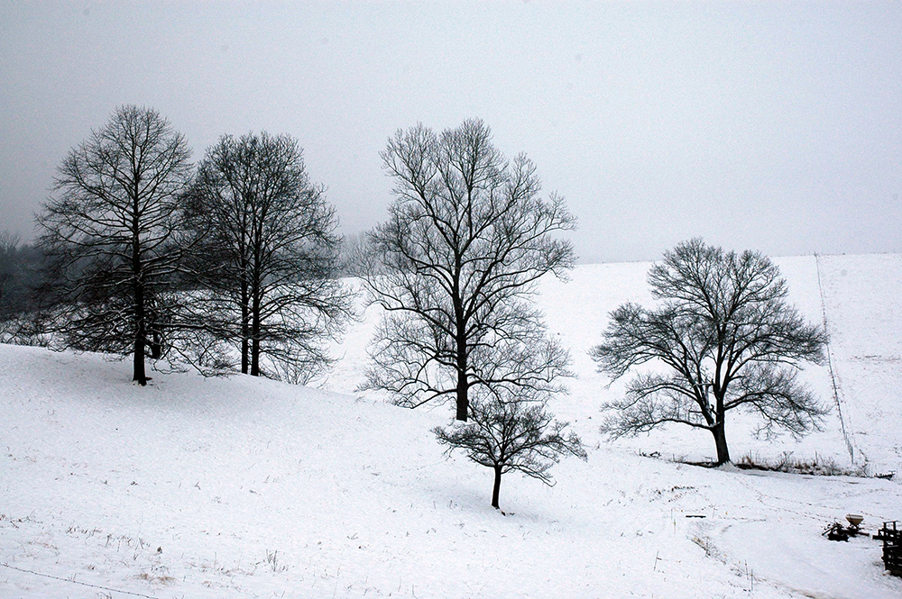 Appalachian Land Trusts