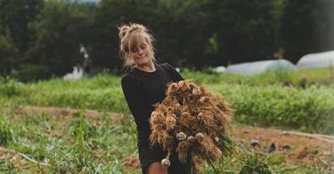 Organic Growers School revamps apprentice link