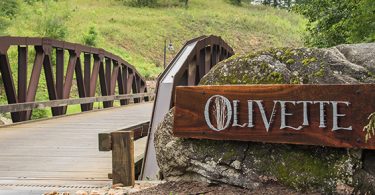 Agrihoods take root in Asheville area