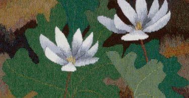 Southern Highland Craft Guild: Works From University of North Georgia