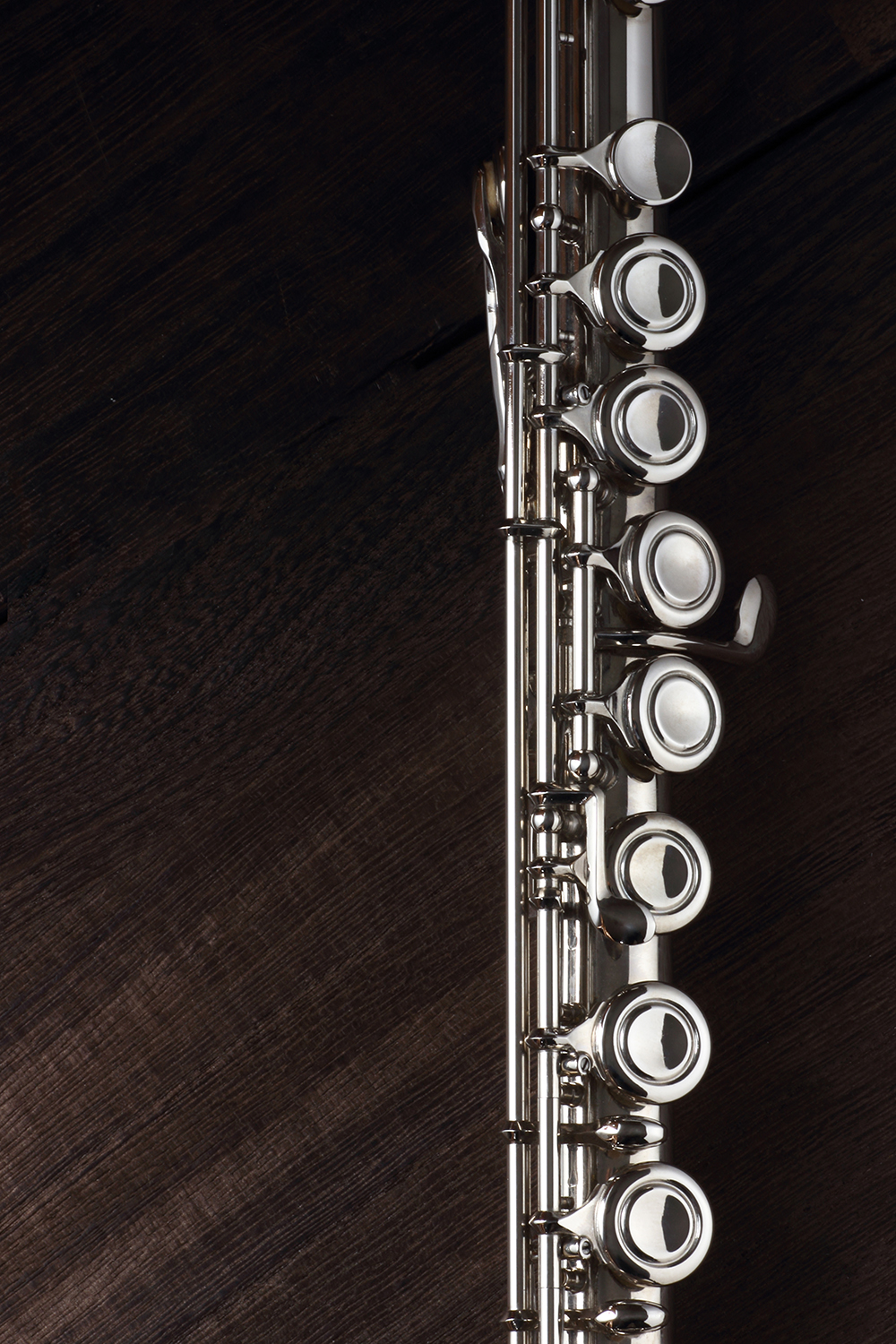 Flat Rock’s School of the Arts Flute Recital