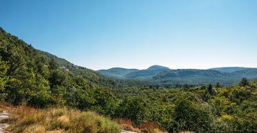 Conservation Corner: Enhancing Panthertown