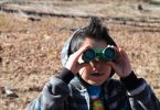 NC Arboretum Hosts Love Birds Celebration