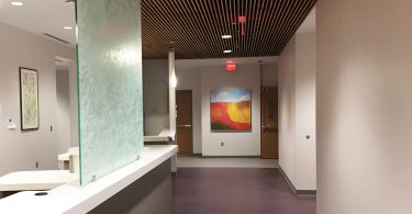 The Gallery at Flat Rock: Life in Color