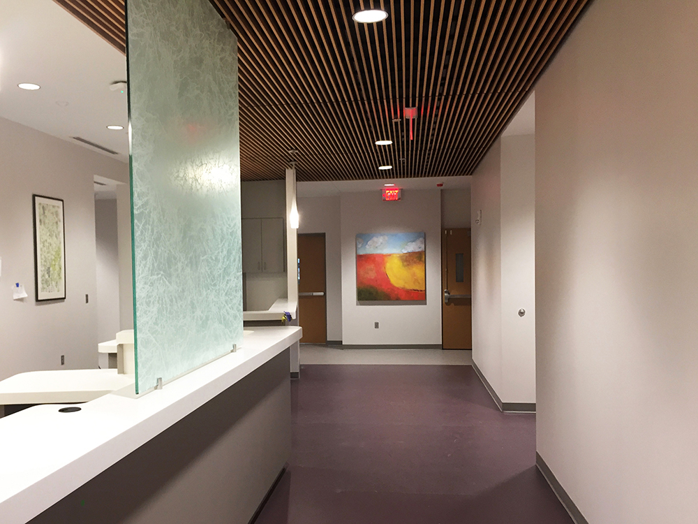 The Gallery at Flat Rock: Life in Color