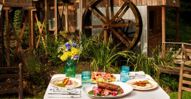 Asheville Agritourism Farm to Table Tours