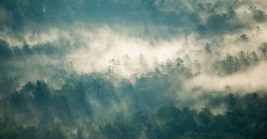 Conservation Corner: Concerns for Land Protection