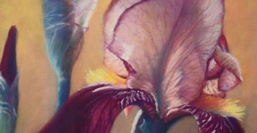 The Appalachian Pastel Society at BlackBird Frame & Art