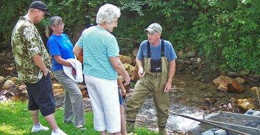 14th Annual Gold Festival