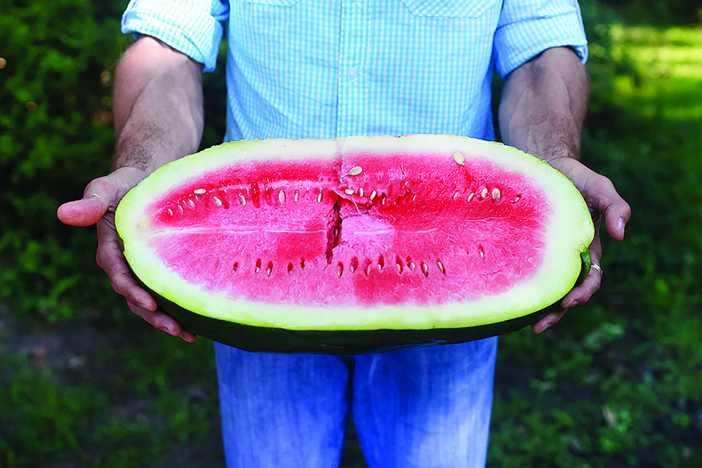 The Bradford Watermelon