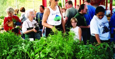 Asheville Herb Festival
