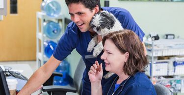 REACH Veterinary Specialists