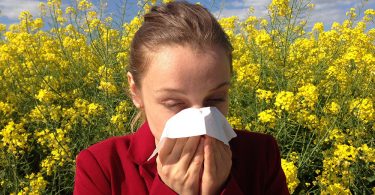 Asheville’s Guide to Allergy Season