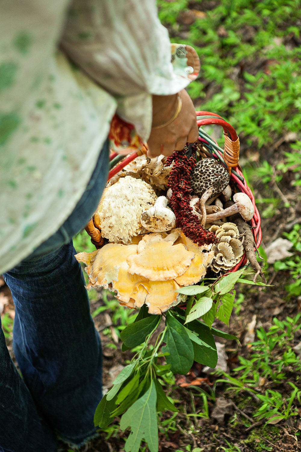 Fungi Foraging & Home Cultivation