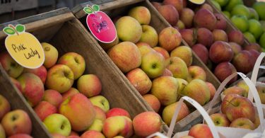 The NC Apple Festival in Hendersonville