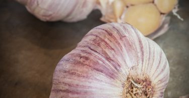 Asheville Garlic Fest