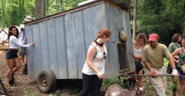 School of Integrated Living Offers Classes on Sustainability