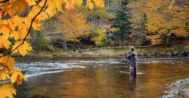 Autumn Fly Fishing with Southern Appalachian Anglers