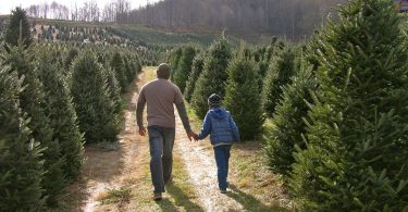 Buy Haywood Agritourism Guide