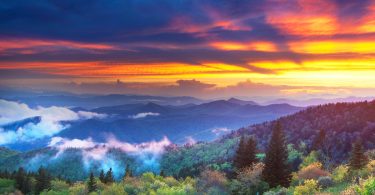 FW Gallery Features Photographer Susan Stanton