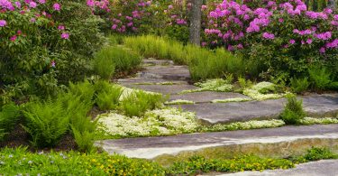 Lake Toxaway’s Southern Highlands Reserve