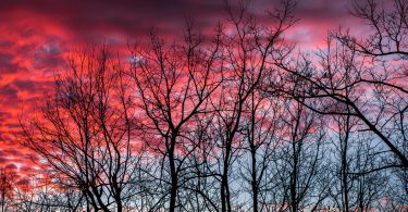 Winter Into Spring: Photography Tips