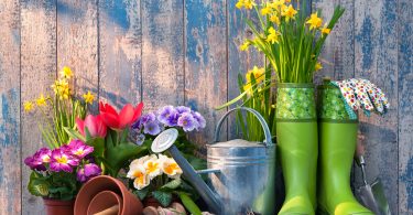 Garden Chores for March