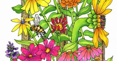 Emily Dickinson, the Gardener