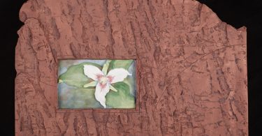 NC Arboretum Presents Earth Skin