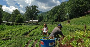 ASAP Farm Tour Celebrates 10 Years
