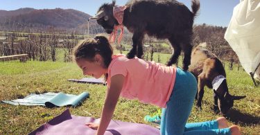 Getting Zen with Goats
