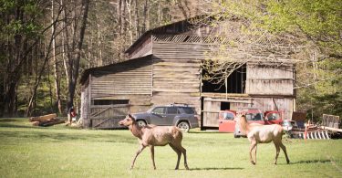 Palmer Barn Gets New Life