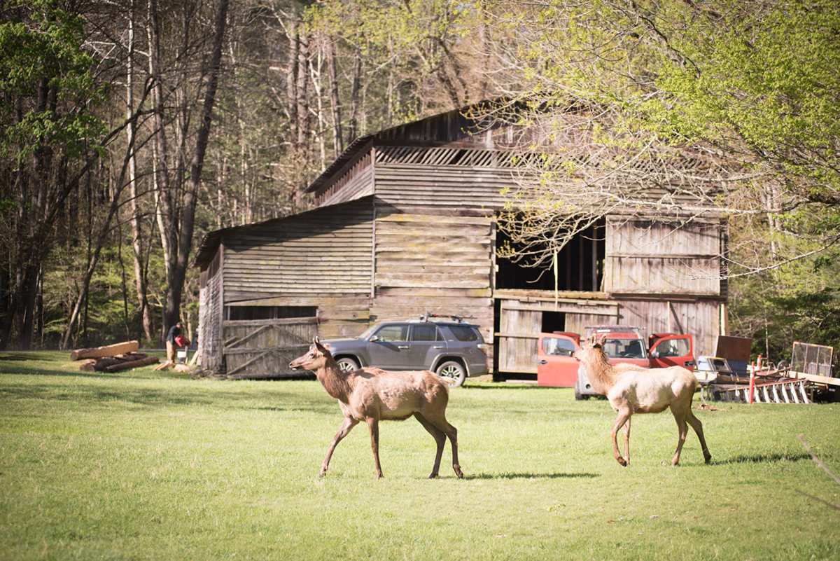 Palmer Barn Gets New Life