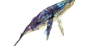 NC Arboretum September Events