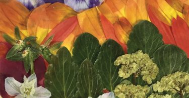 A Flowering of Exquisite Landscapes