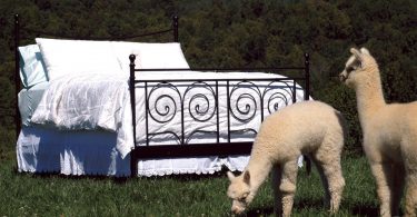 At Home: The Alpaca Home Store