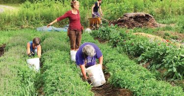 26th Annual Organic Growers School Spring Conference