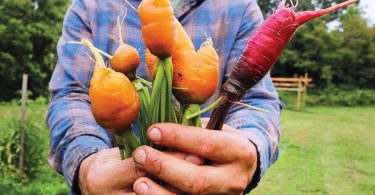 Sow The Land: A Journey to Health