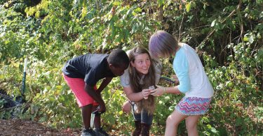 NC Arboretum Receives Grant to Expand Youth Programs
