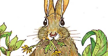 Beatrix Potter, Naturalist & Farmer