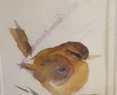 little wren simone wood