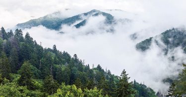 A Day Trip to the Smokies