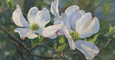 AGA_-Sandra-Brugh-Moore-Dogwood