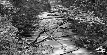Cultivating Collections at WCU Fine Art Museum