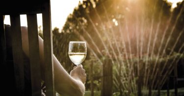 New & Exciting Wines From Greece