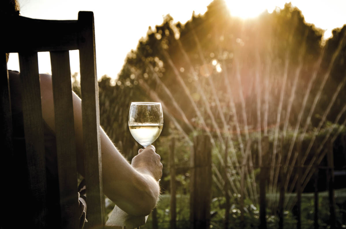 New & Exciting Wines From Greece