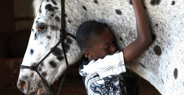 Spotlight On: Heart of Horse Sense