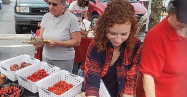 tomato festival tasting booth