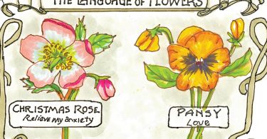 The Language of Flowers